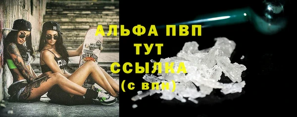 дживик Богданович