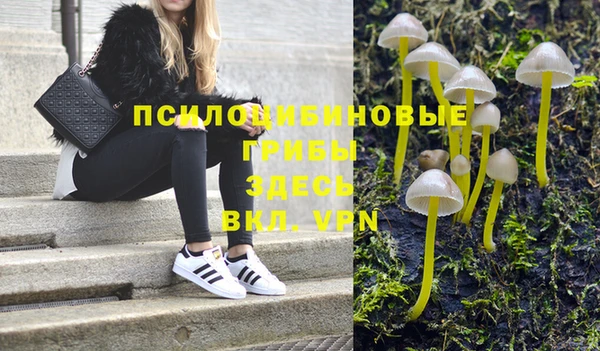дживик Богданович