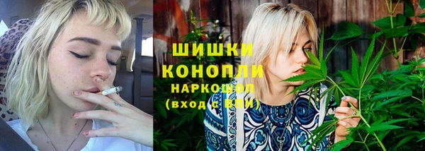 дживик Богданович