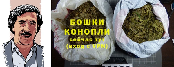 дживик Богданович