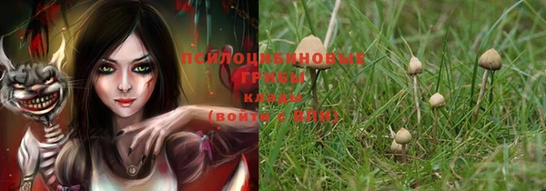 дживик Богданович