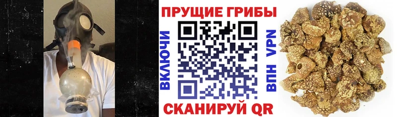 Галлюциногенные грибы Magic Shrooms  Надым 