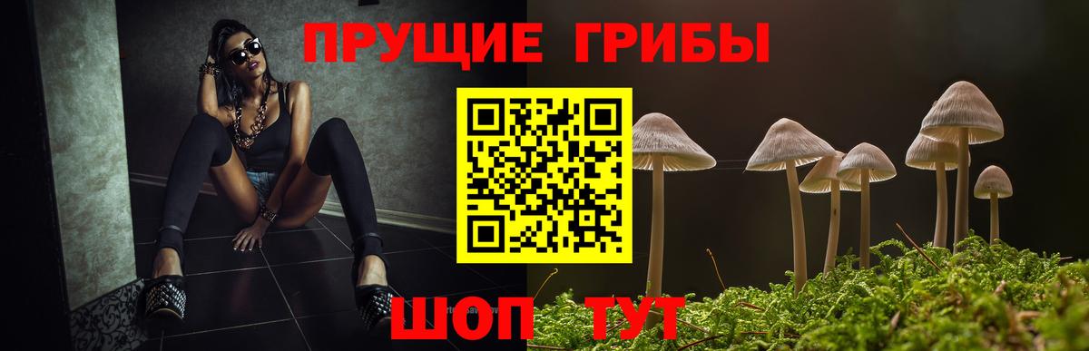 Надым  Галлюциногенные грибы мухоморы  Вход с VPN 